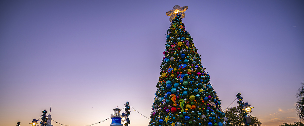 Christmas tree at SeaWorld Orlando entrance