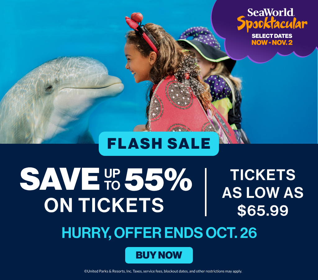 Flash Sale