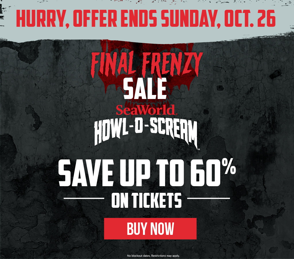 Flash Sale