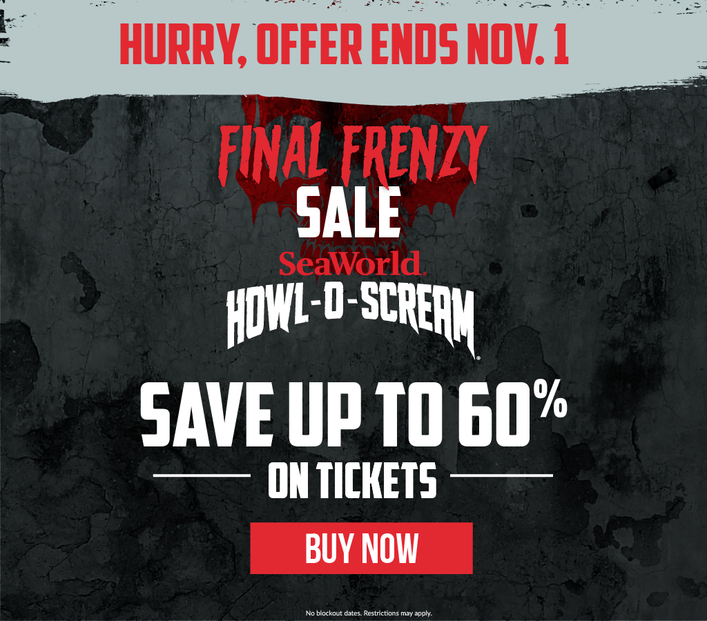 Flash Sale