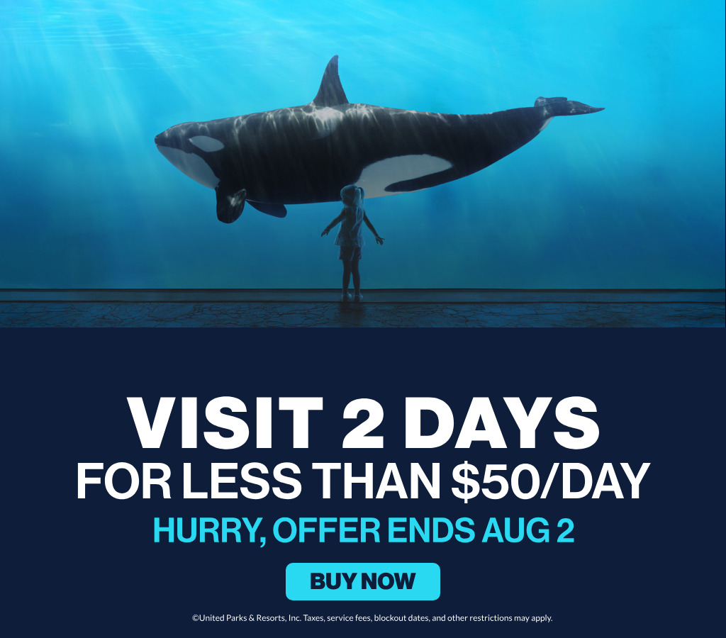 Visit 2 Days for less than $50/day