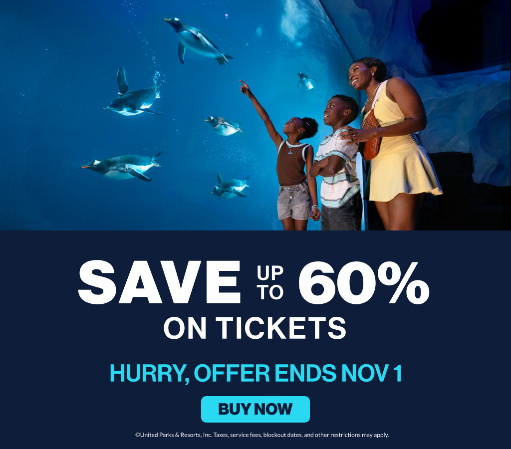 Save up to 60% on tickets