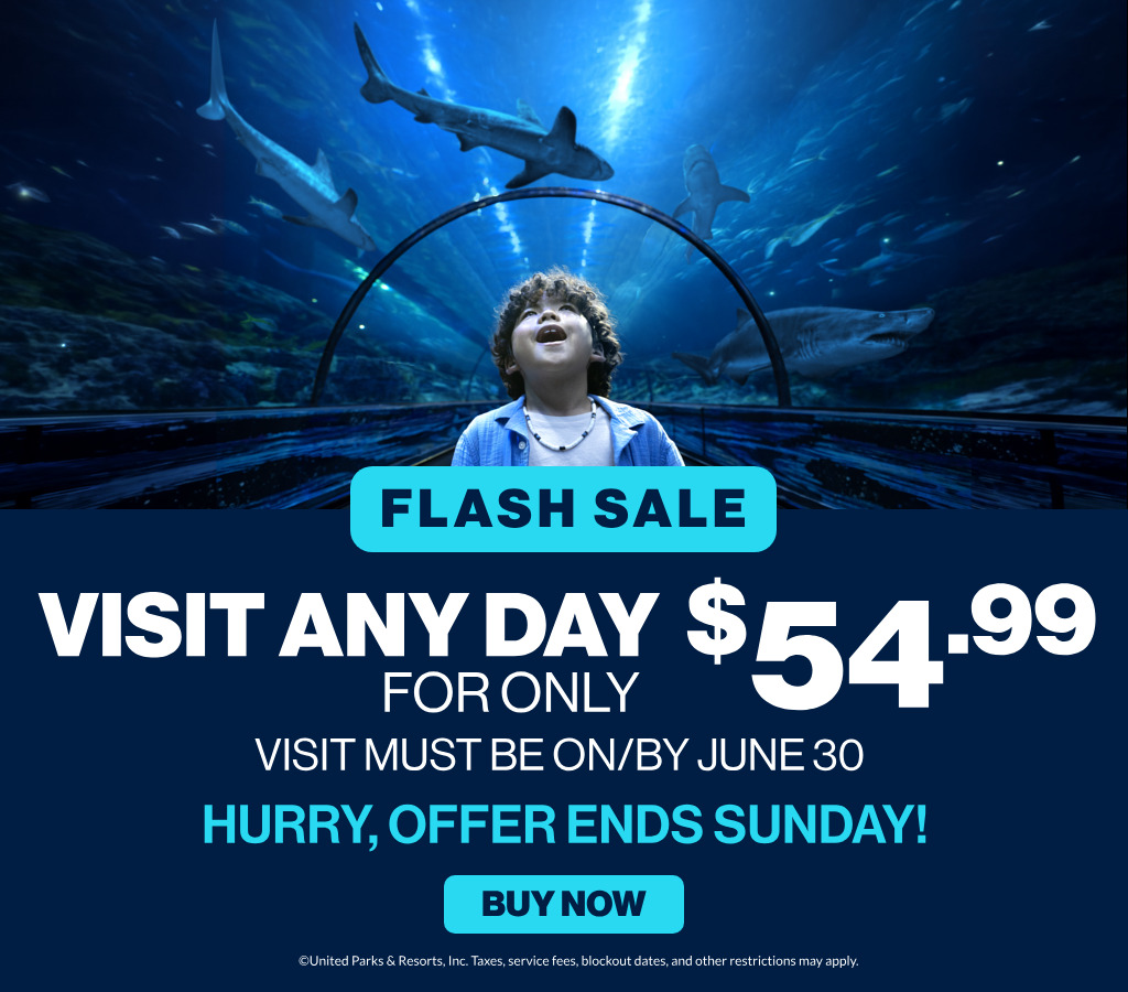 Flash sale visit any day for only $54.99 through June 30