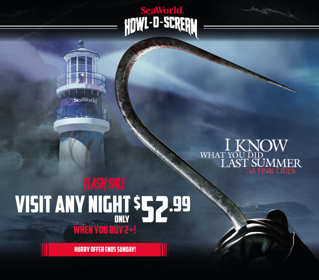 Flash Sale Visit Any Night For Only $52.99 When You Buy 2+