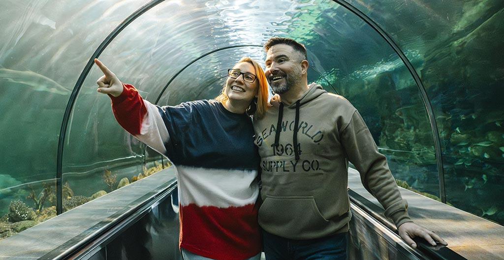 Guests in the Shark Encounter Tunnel at SeaWorld