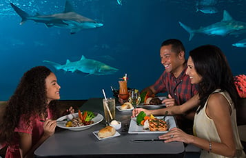 Sharks Underwater Grill at SeaWorld Orlando
