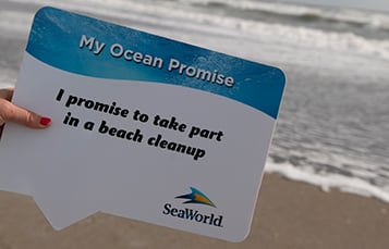 Ocean Promise Pledge Sign at Pass Member Beach Cleanup 