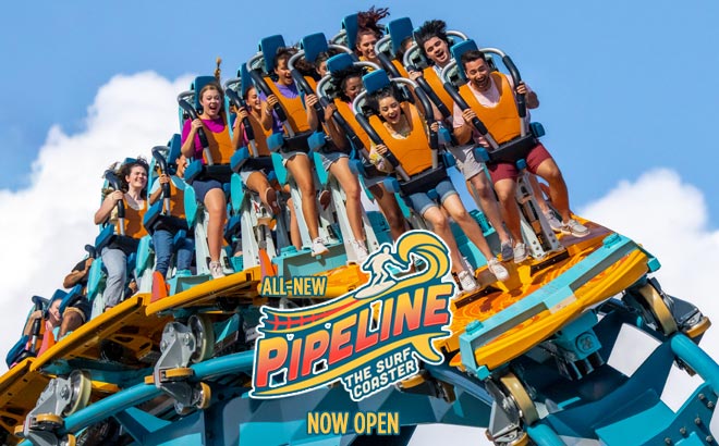 Pipeline The Surf Coaster at SeaWorld Orlando