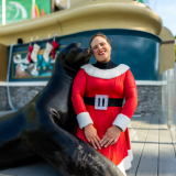 Sea Lion with a trainer dress in a Santa dress