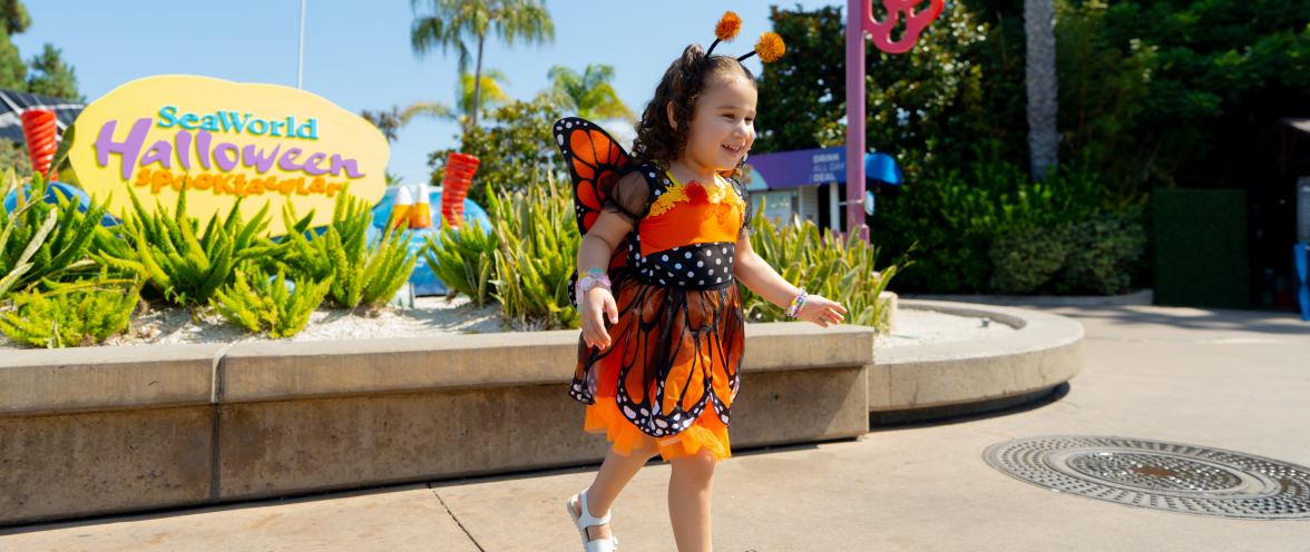 Child in a butterfly costume