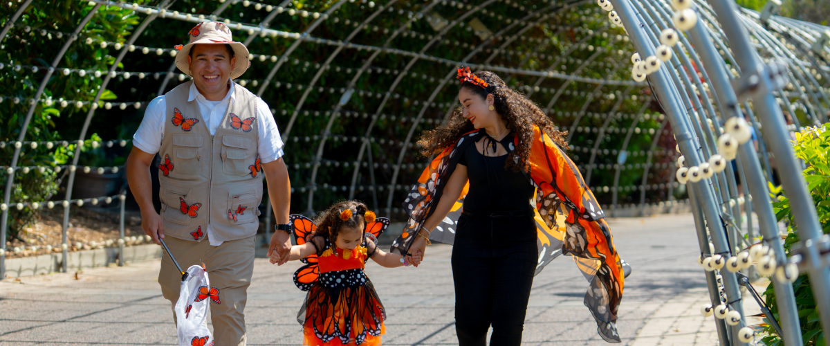 Halloween Spooktacular