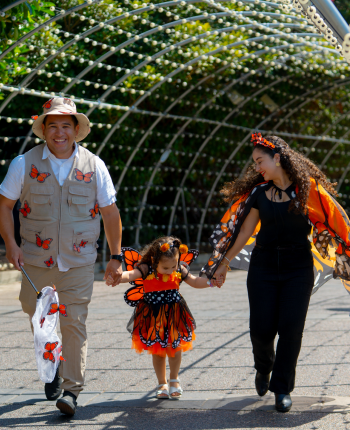 Halloween Spooktacular