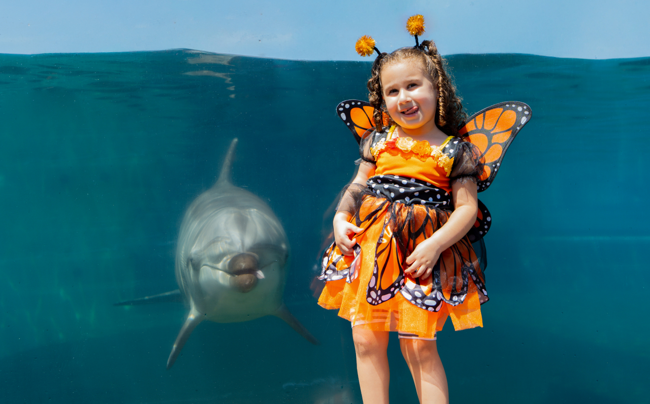 A girl wearing a butterfly costume in front of a dolphin