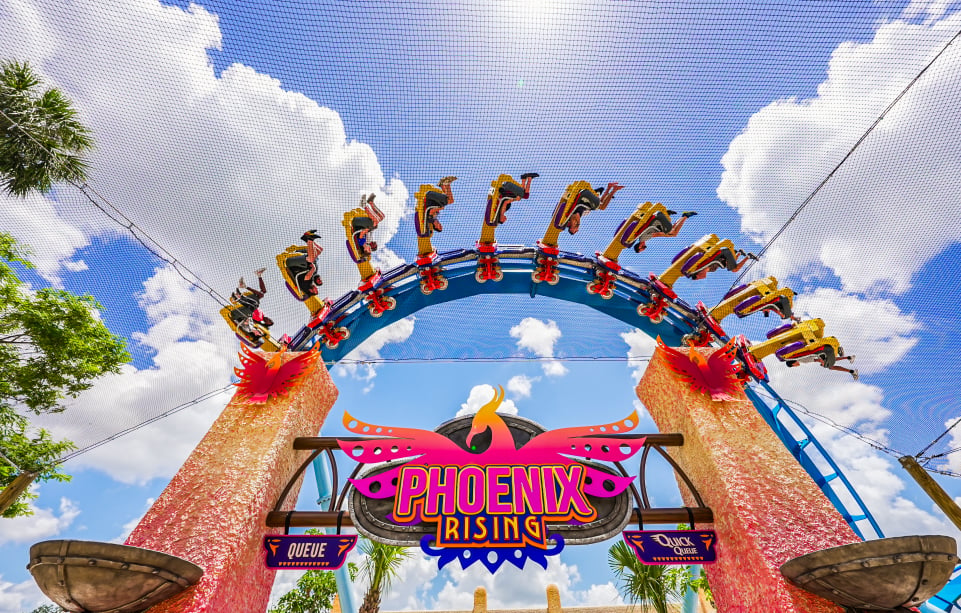Best Rides at Busch Gardens Tampa (Ranked by a Regular) at Busch Gardens Tampa