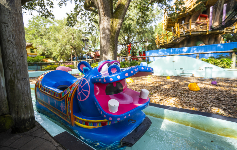 Best Months to Visit Busch Gardens Tampa at Busch Gardens Tampa