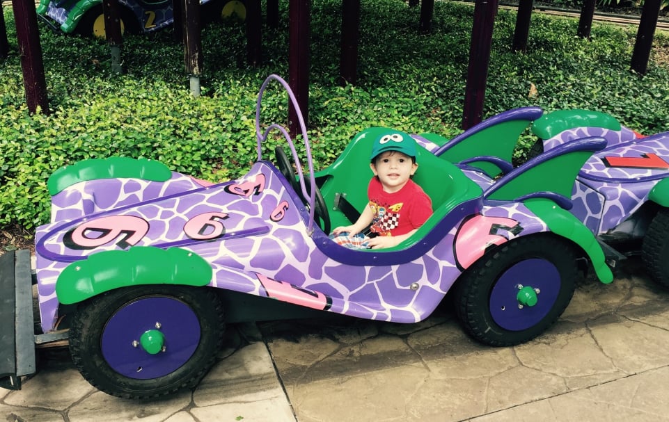 Beating the Crowds at Busch Gardens Tampa: When to Go and When to Ride at Busch Gardens Tampa
