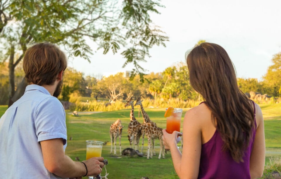Optimal Route at Busch Gardens Tampa: A Data-Driven Touring Plan at Busch Gardens Tampa