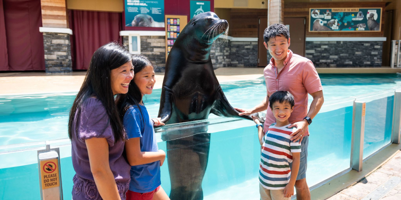 Family taking a photo with a Sea Lion at SeaWorld Orlando