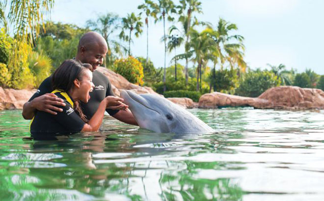 Dolphin Interaction at Discovery Cove.