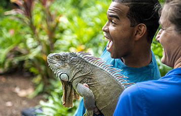 Chase Alvarez and Moonbean (Green iguana)