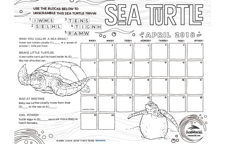 Kids Calendar Sea Turtle