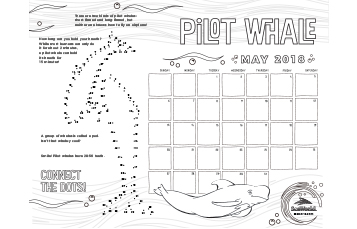 May Calendar Pilot Whale
