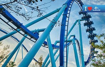 Manta Roller Coaster Background Preview