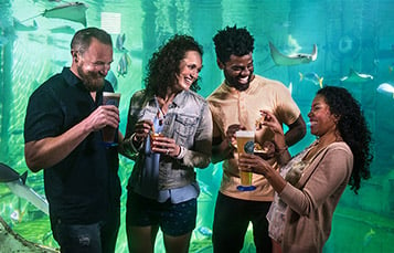 Guests near the Manta Aquarium at SeaWorld Orlando