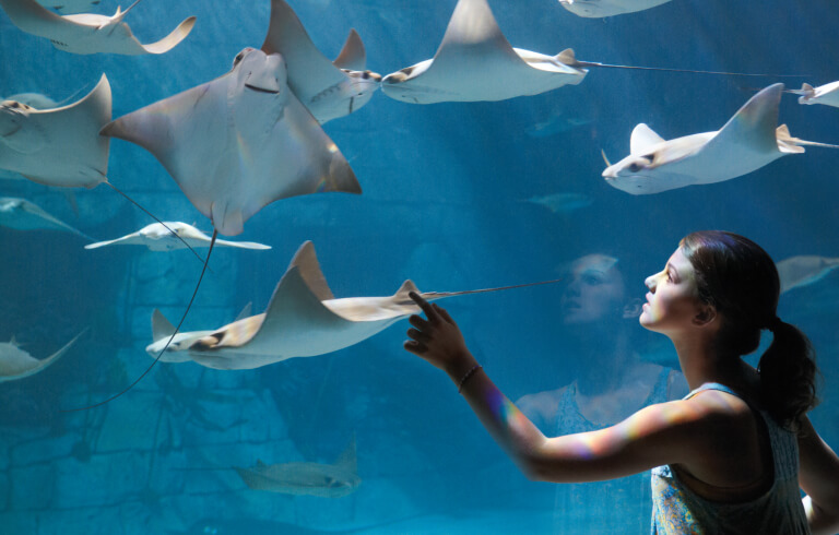 Girl at the Manta Aquarium