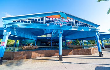 Stingray Lagoon at SeaWorld Orlando