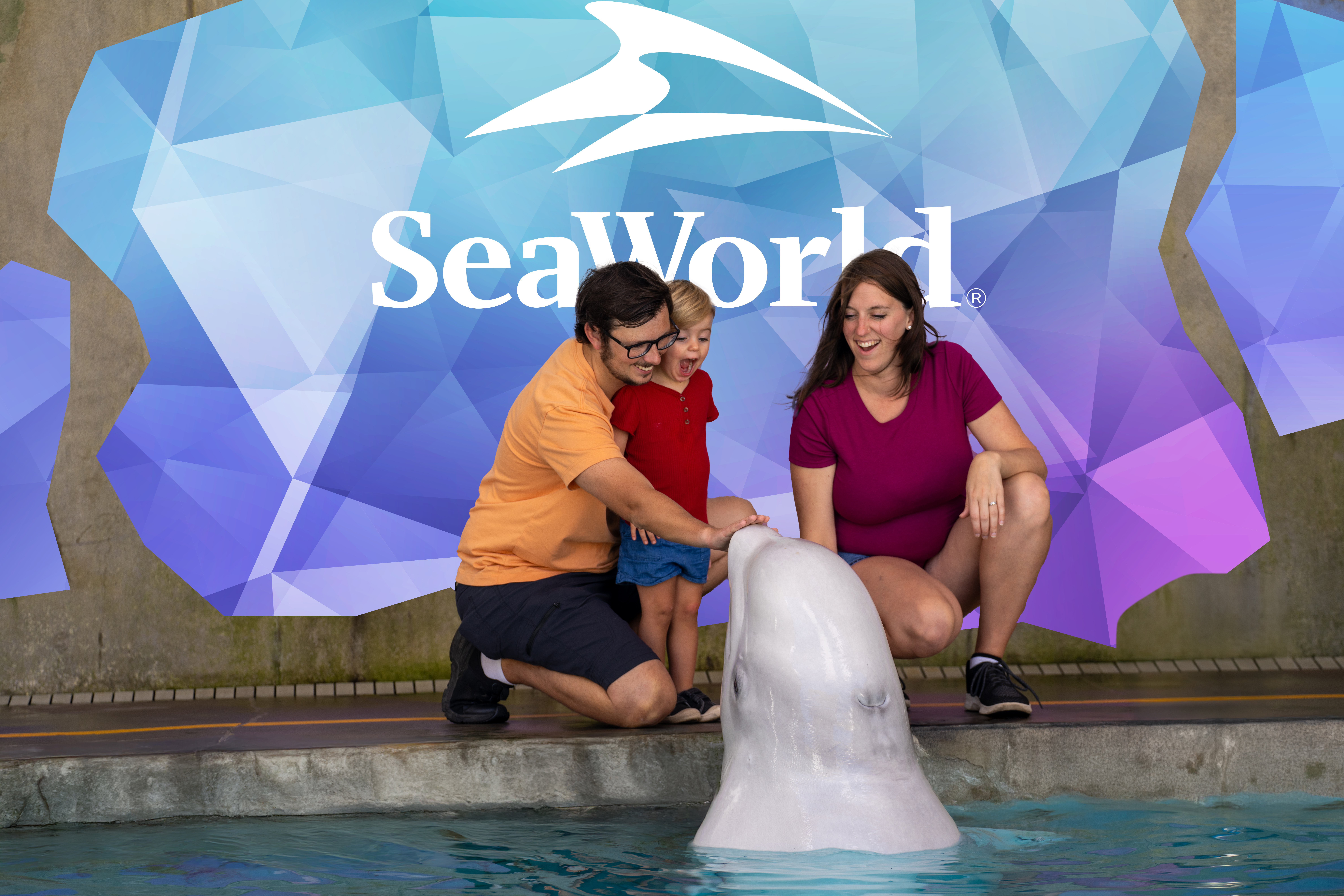 Beluga