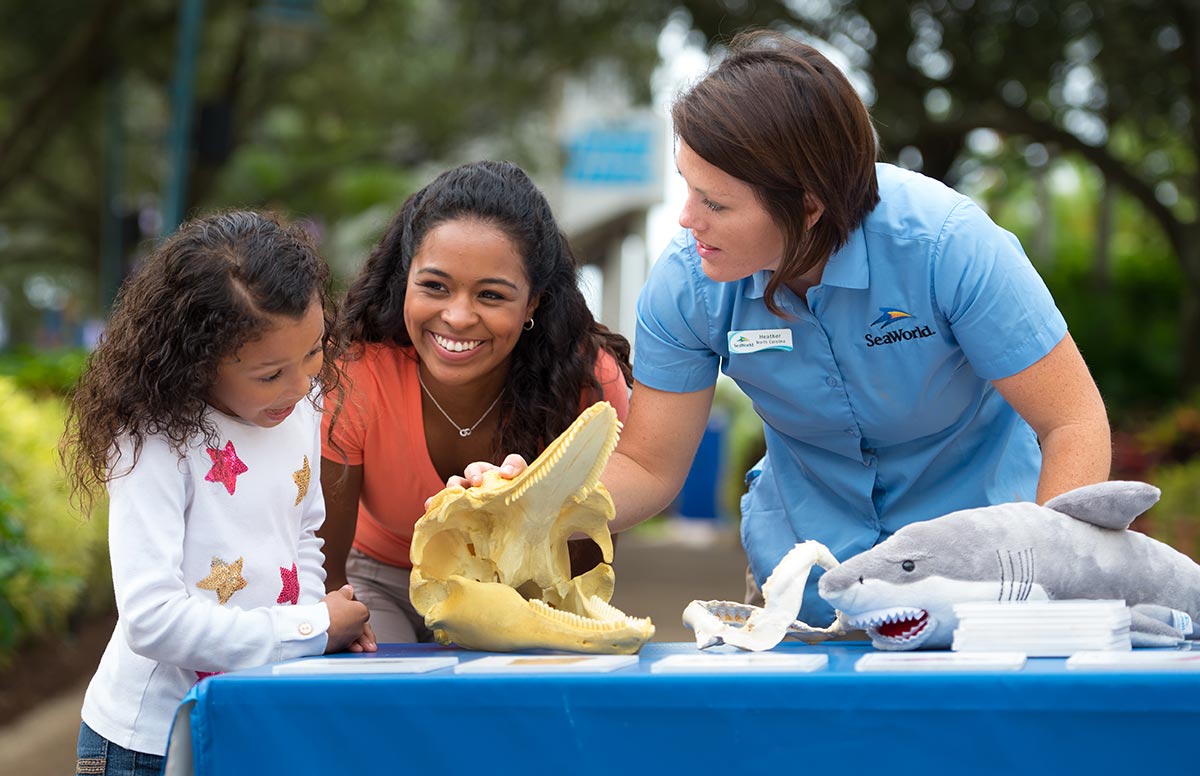 Educational programs at SeaWorld Orlando