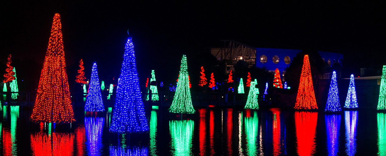 Sea of Trees during SeaWorld Christmas Celebration event