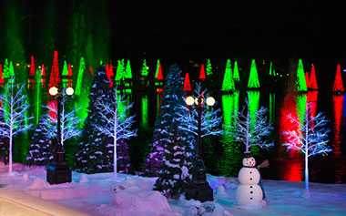 See the Sea of Trees at SeaWorld's Christmas Celebration