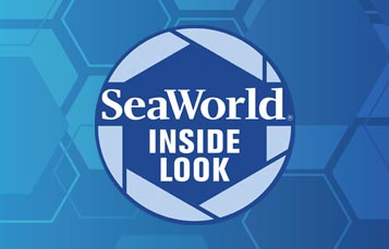 SeaWorld Inside Look