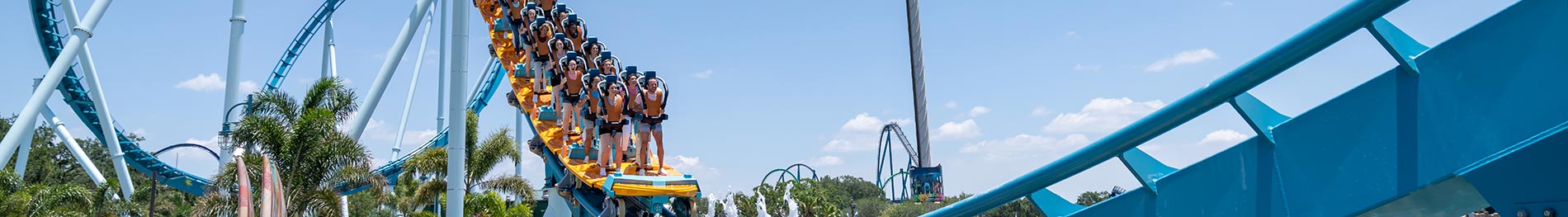 Pipeline The Surf Coaster at SeaWorld Orlando