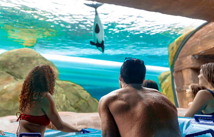 Aquatica Orlando Fish Grotto