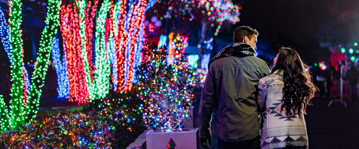 Christmas Event Hero for SWT.