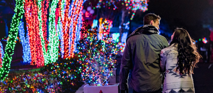 Christmas banner for SWT 12 days.