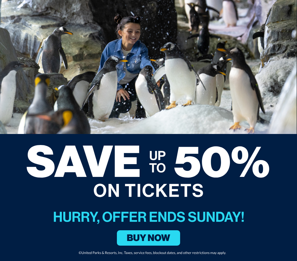 Save up to 50% on Tickets