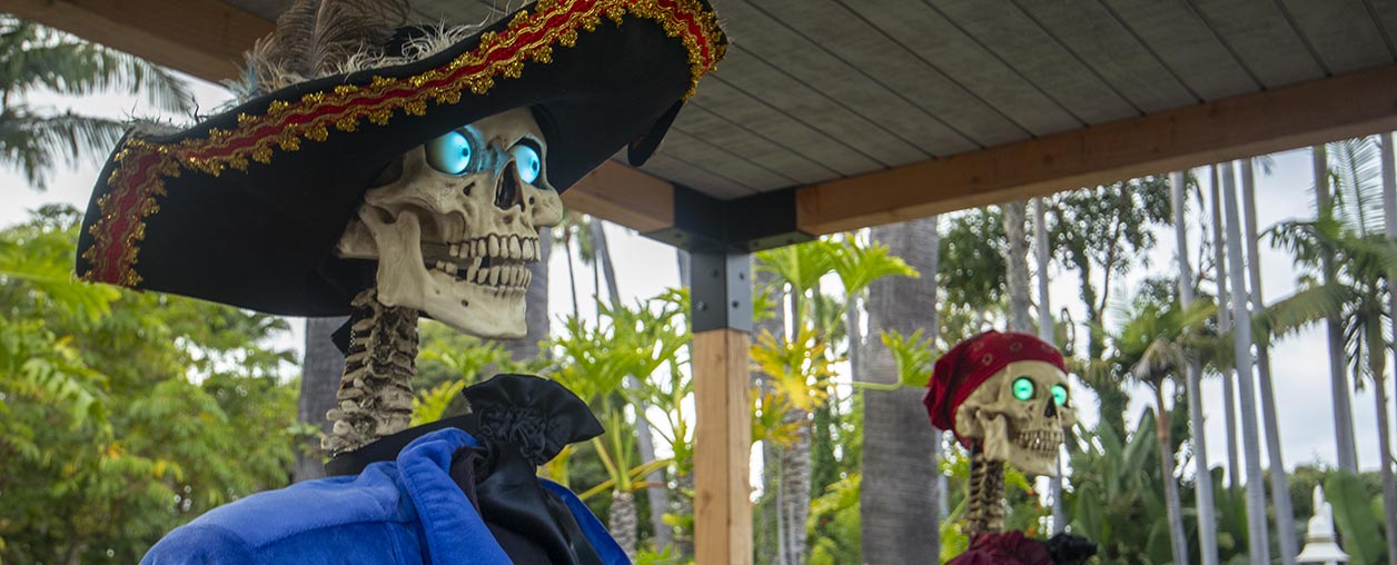 Halloween Spooktacular at SeaWorld San Diego
