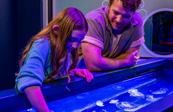 A child and a man touching jelly fish