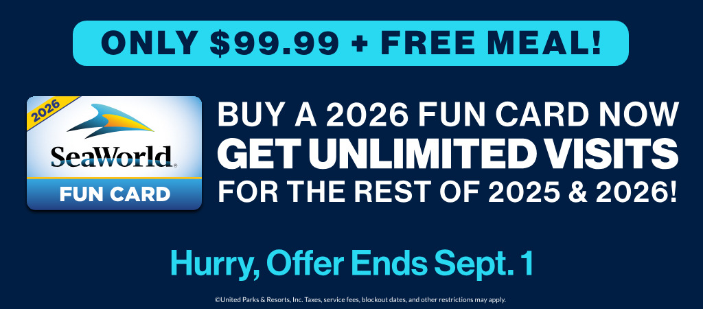 Buy a 2025 Fun Card Now get unlimited visits for the rest of 2025 & 2026