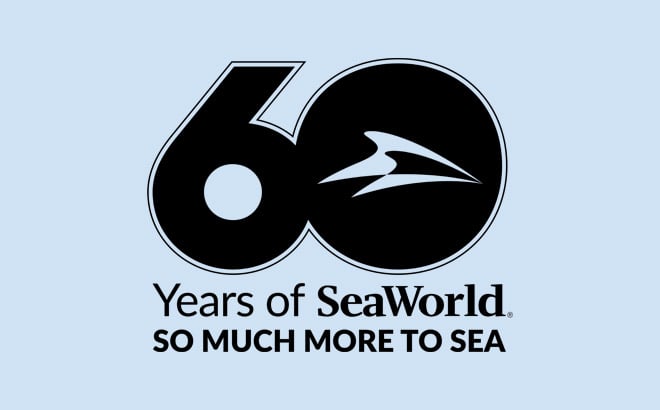 60 Years of SeaWorld So Much More To Sea