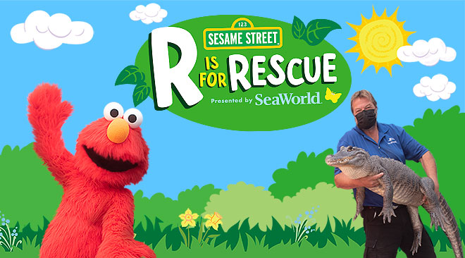 R is for Rescue at SeaWorld San Diego
