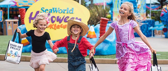 Trick-or-Treat Candy Trail for Kids