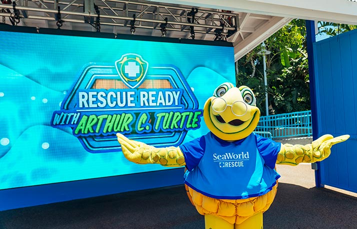 Rescue Ready with Arthur C Turtle
