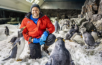 Ultimate On Ice Penguin Experience at SeaWorld San Diego