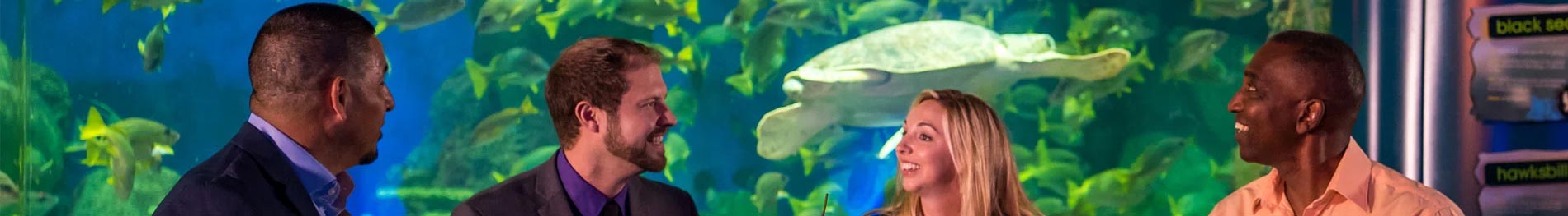 Corporate dinner event at Turtle Reef SeaWorld San Diego