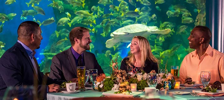 Corporate dinner event at Turtle Reef SeaWorld San Diego
